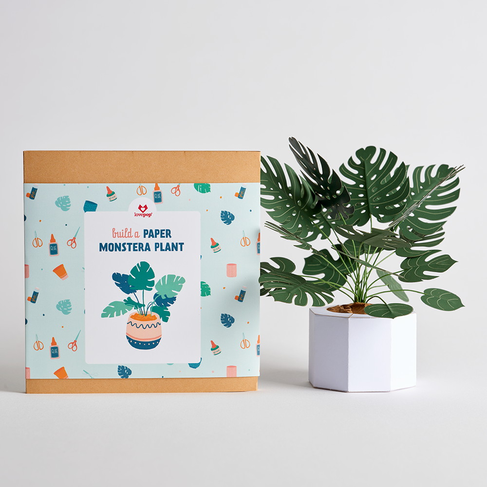 diy monstera plant Paper Monstera Plant DIY Kit