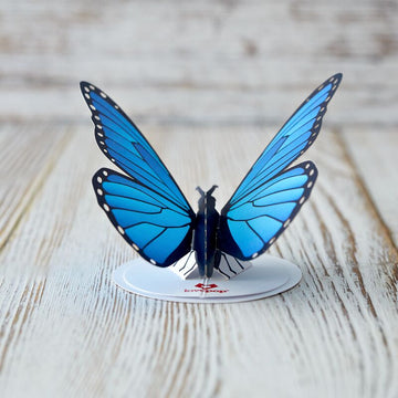 Stickerpop?: Blue Morpho Butterfly (1-Pack)