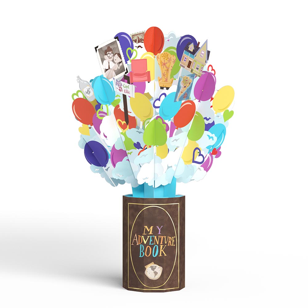 Disney and Pixar Up Balloon Bouquet