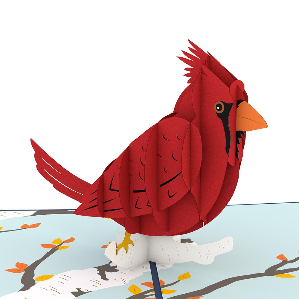 Cardinal Pop-Up Card