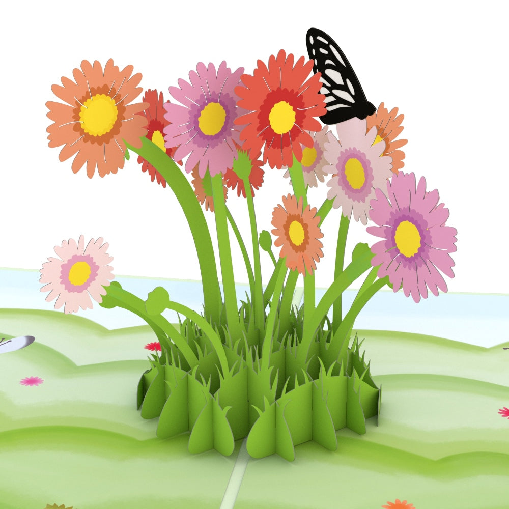 Easter Daisy Patch Pop-Up Card