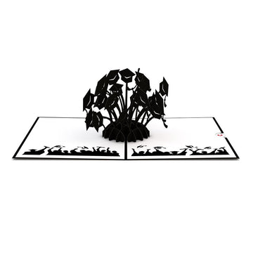 Graduation Hats Black Pop-Up Card
