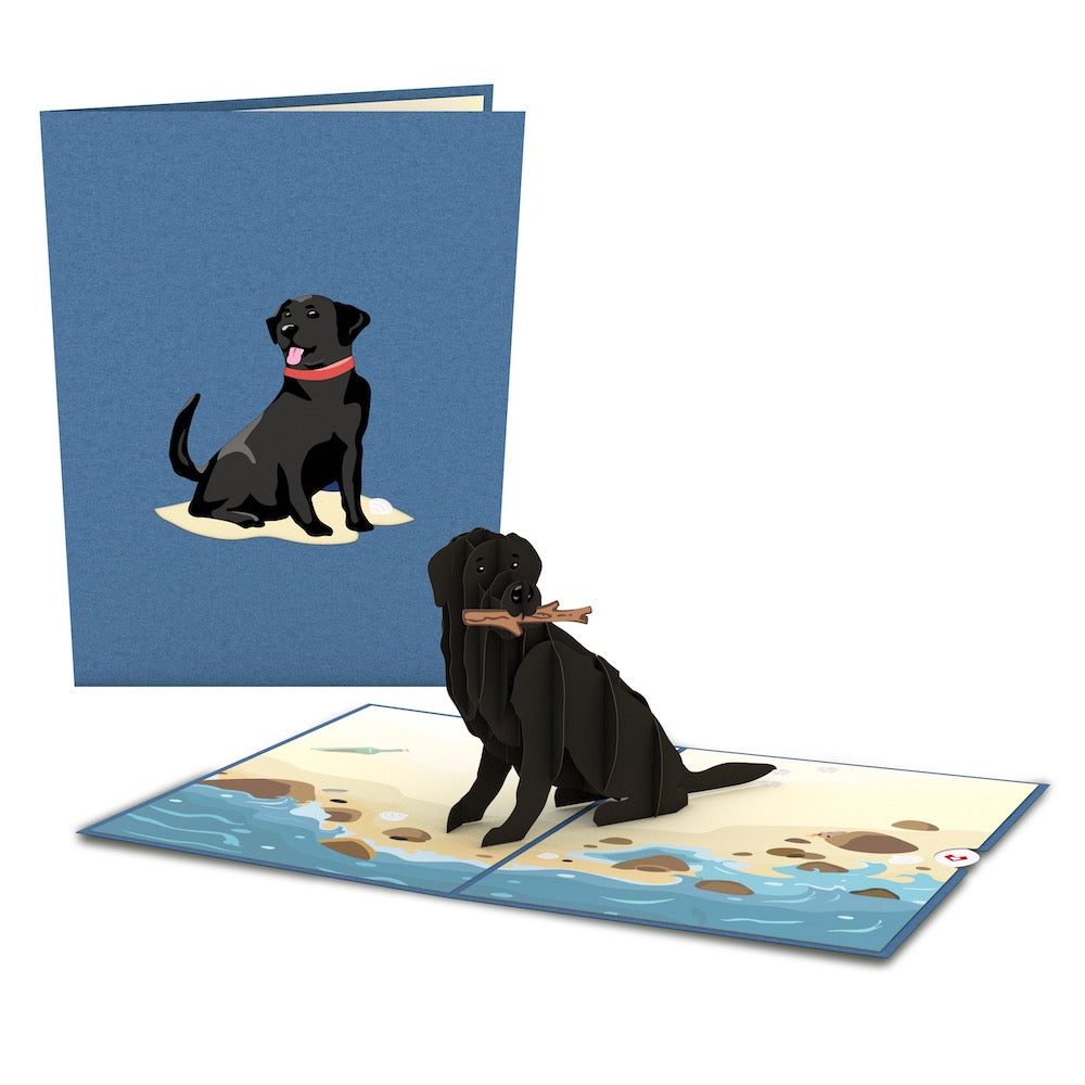 Black Lab Pop-Up Card