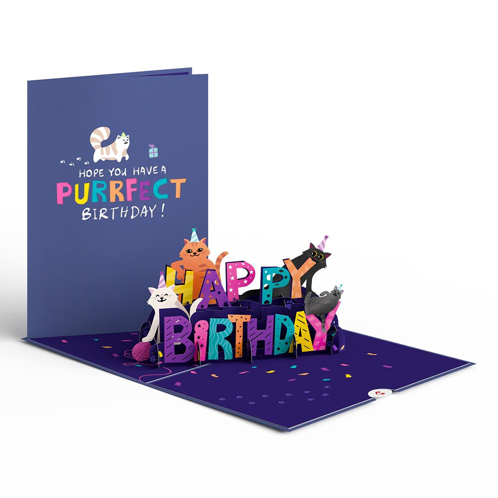 Happy Birthday Cats for the Childless Cat Lady Pop-up Cards