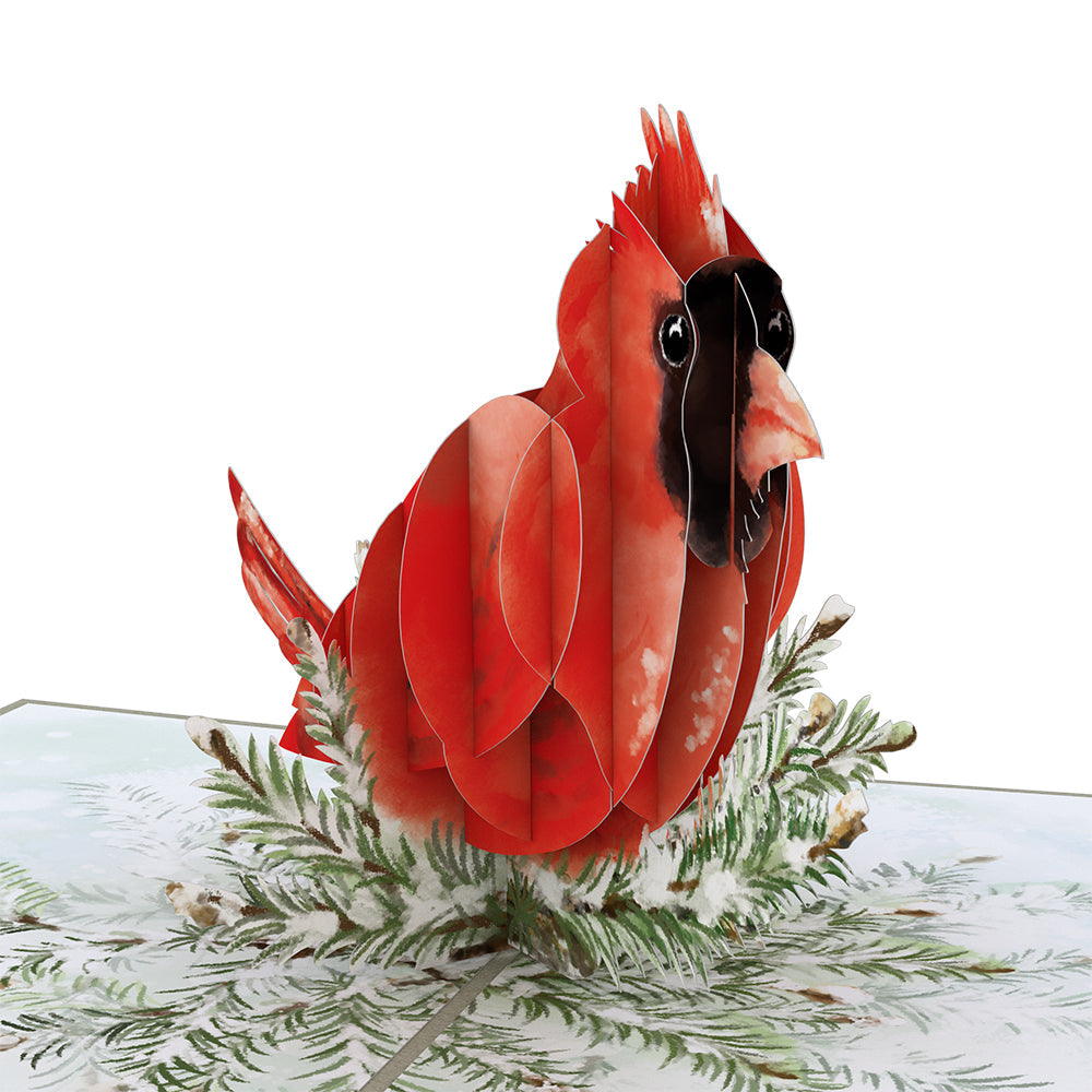 Winter Cardinal Pop-Up Card