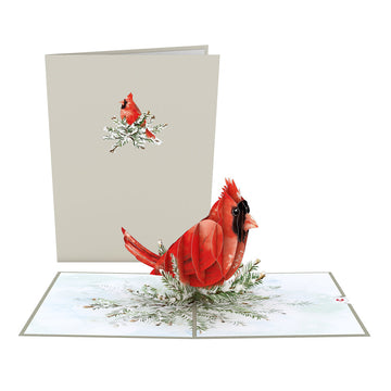 Winter Cardinal Pop-Up Card