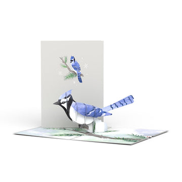 Winter Blue Jay Pop-Up Card