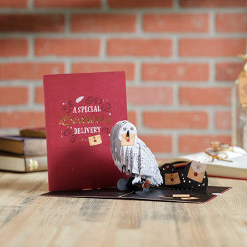 Harry Potter? Hedwig? Birthday Delivery Pop-Up Card