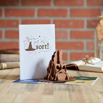 Harry Potter? You're Just My Sort Pop-Up Card