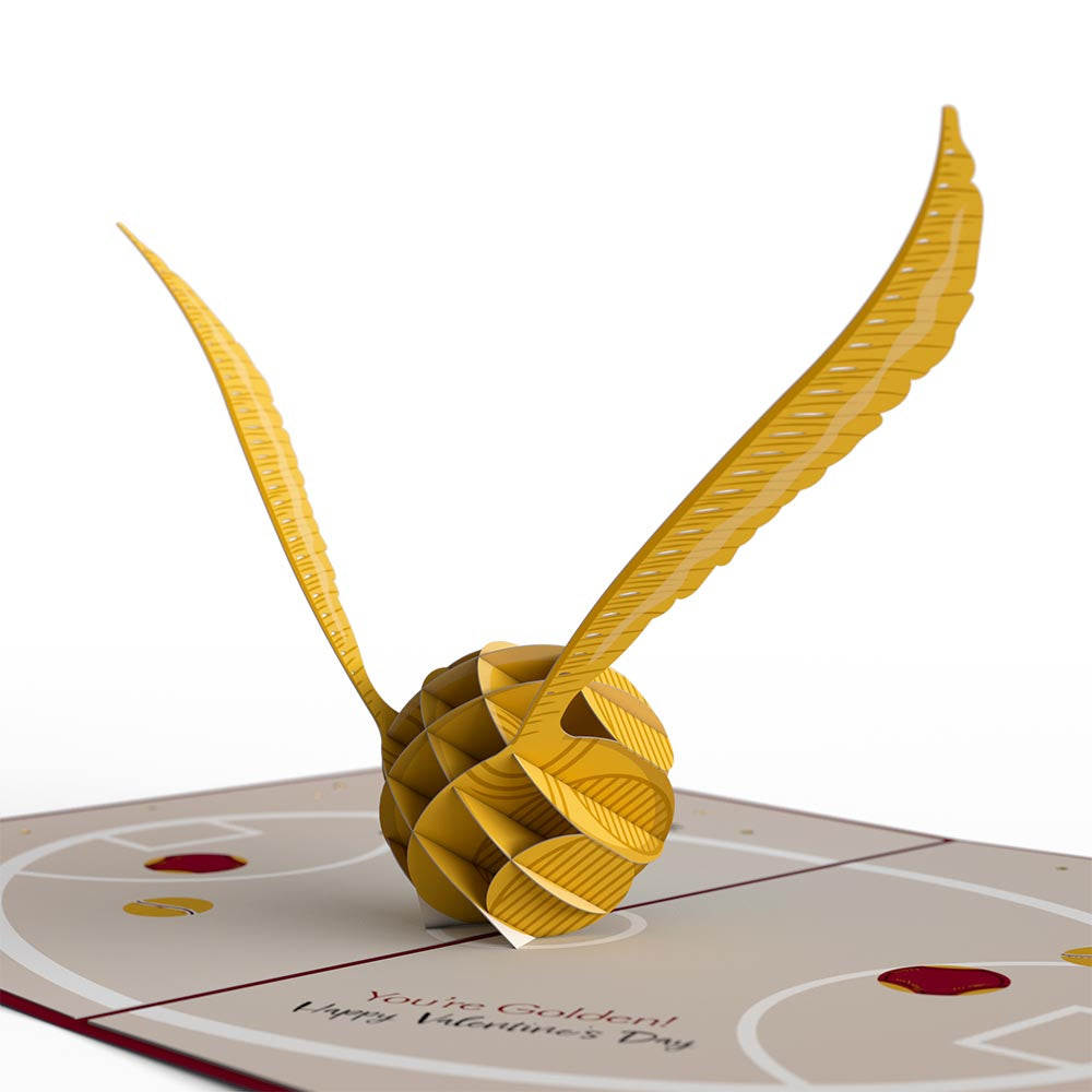 Harry Potter? You Make My Heart Soar Pop-Up Card