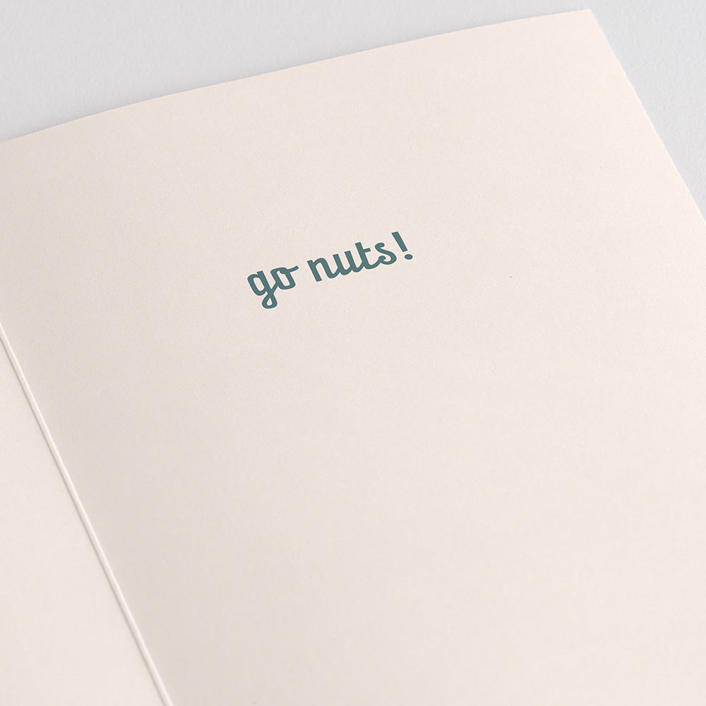 Squirrel Birthday: MicasShine Press?