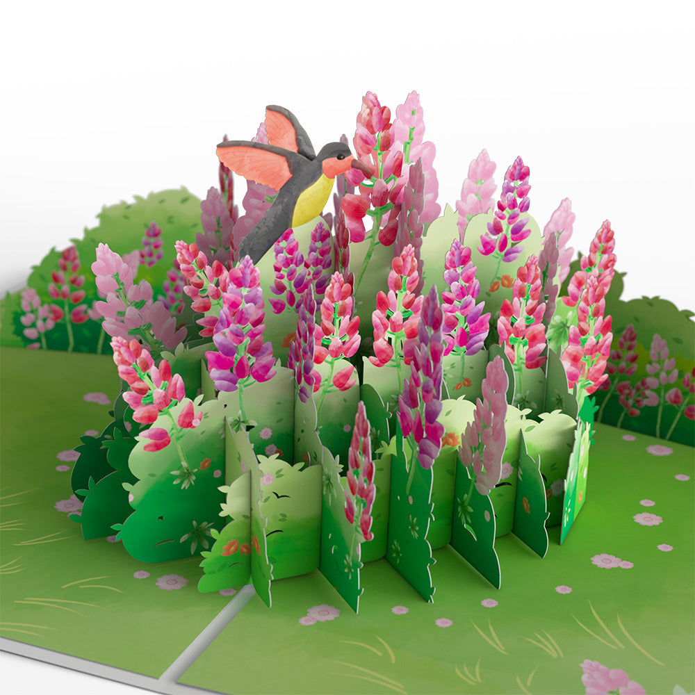 Lupine Hummingbird Valentine's Day Pop-Up Card