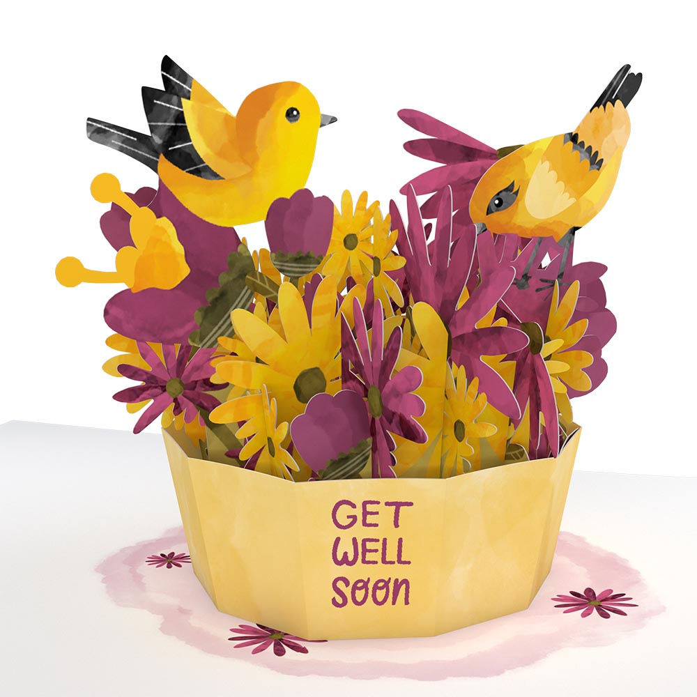 Get Well Soon Bird Paperpop? Card