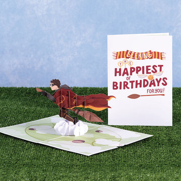 Harry Potter? Seeker Birthday Pop-Up Card