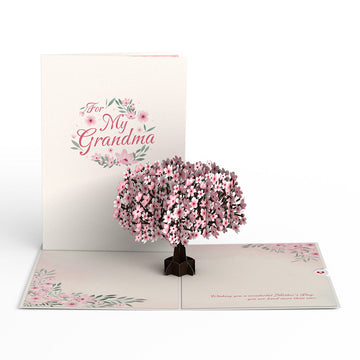 To My Grandma Mother¡¯s Day Cherry Blossom Pop-Up Card