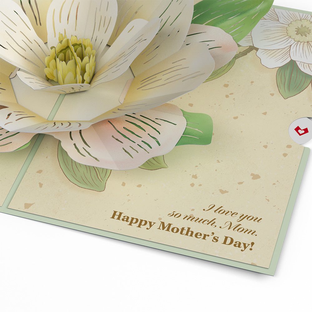Mother¡¯s Day Magnolia Pop-Up Card
