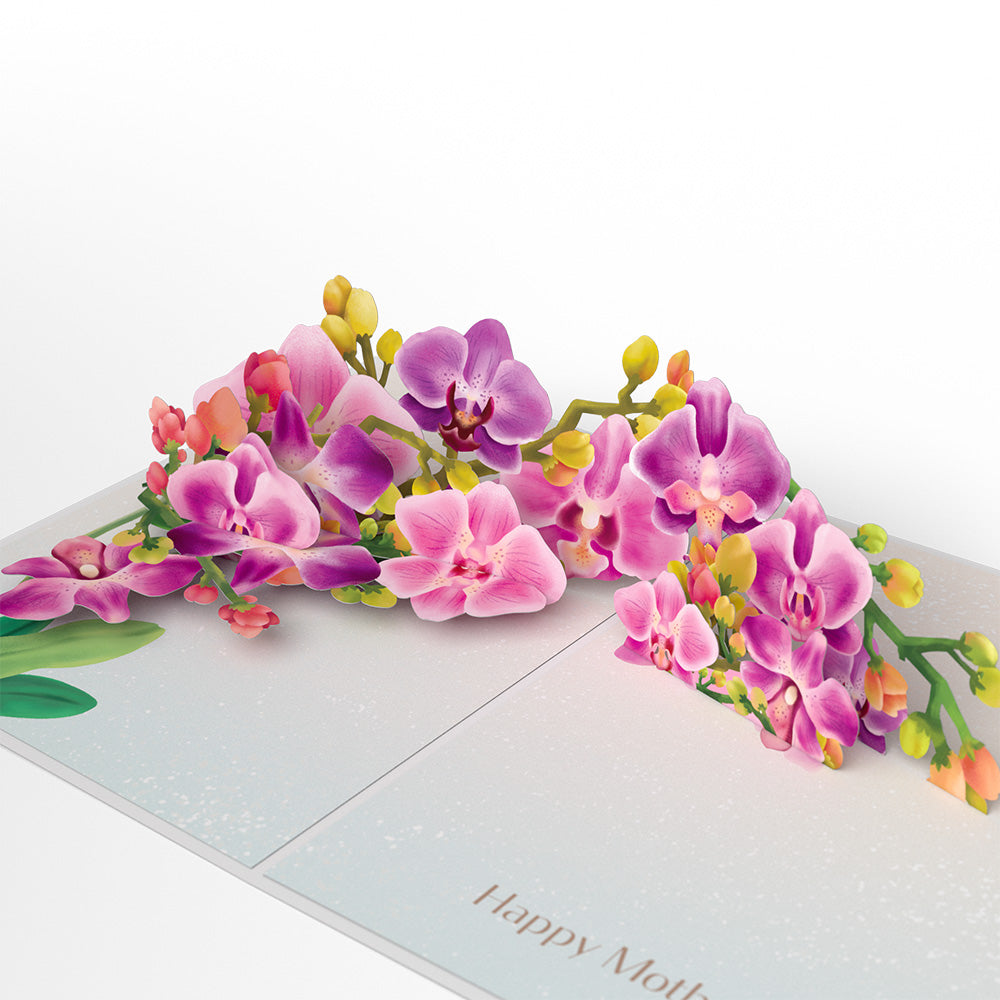 Mother¡¯s Day Orchid Pop-Up Card
