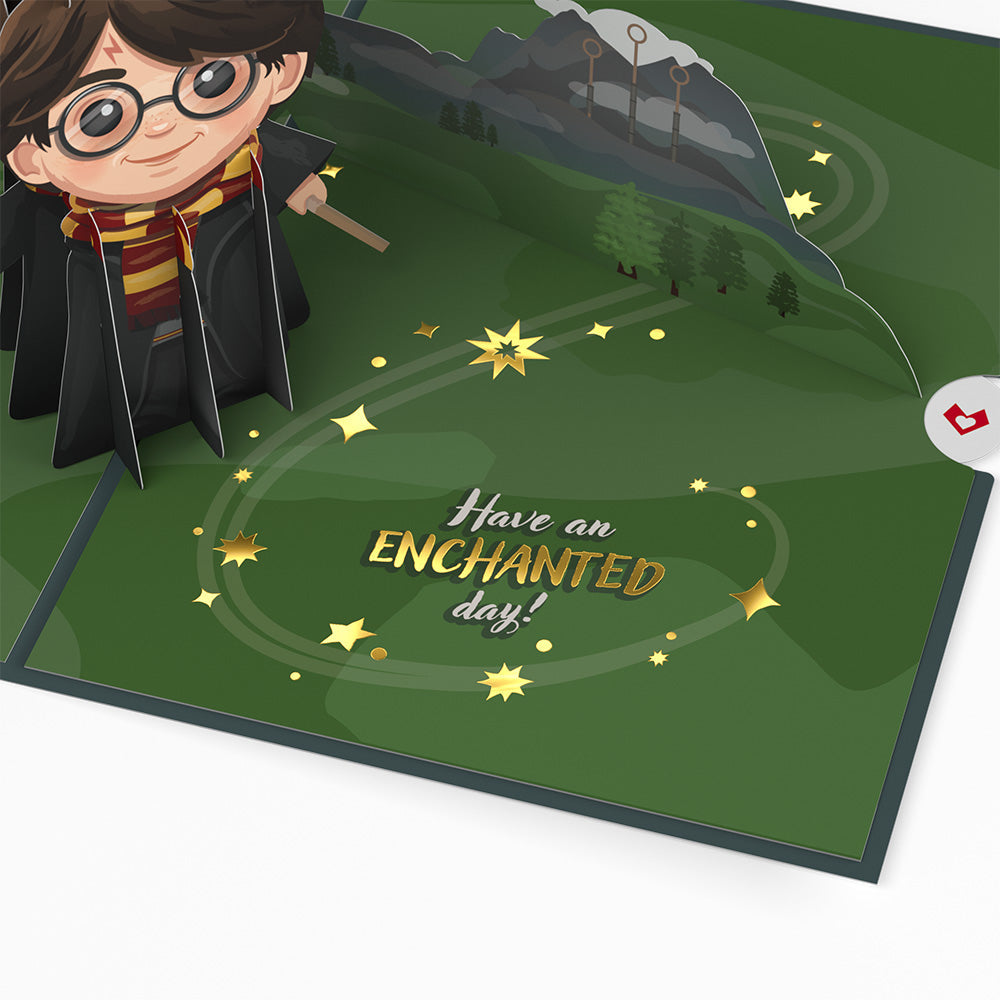 Harry Potter? The Chosen One Birthday Pop-Up Card