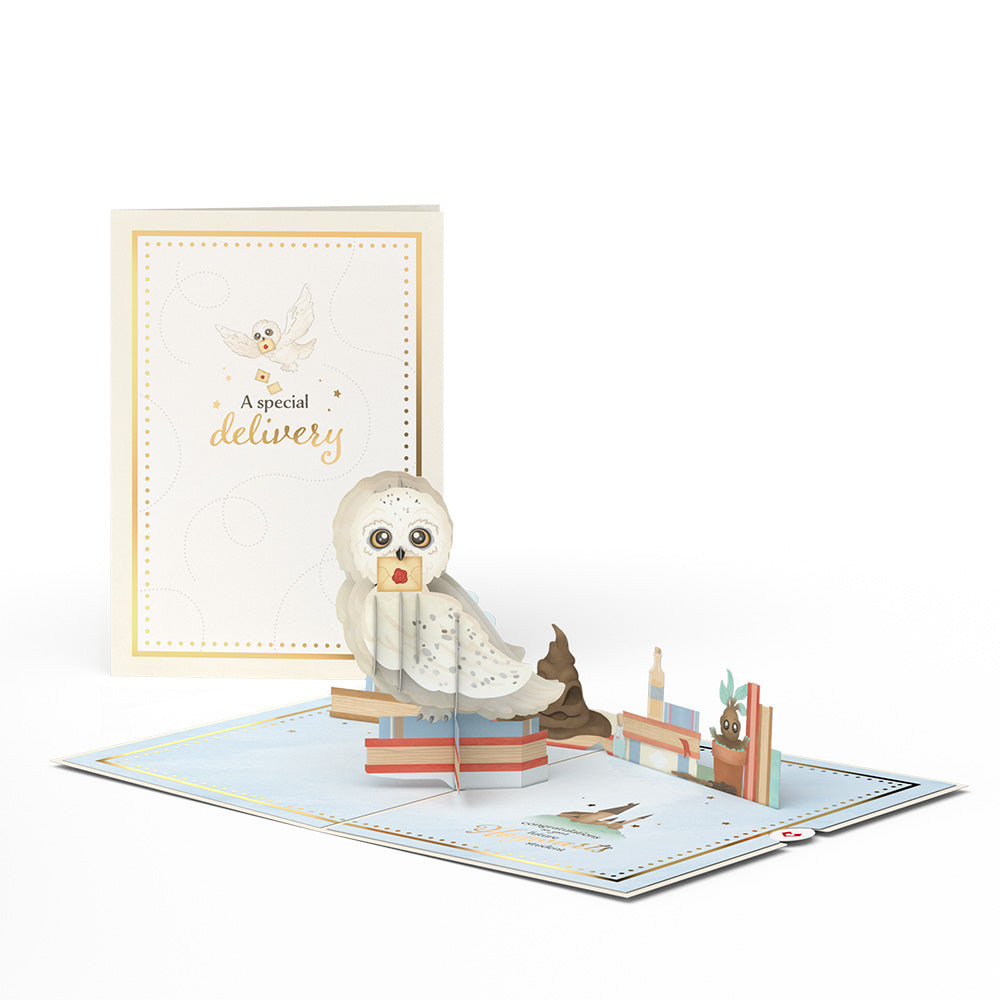 Harry Potter? Special Delivery Baby Pop-Up Card