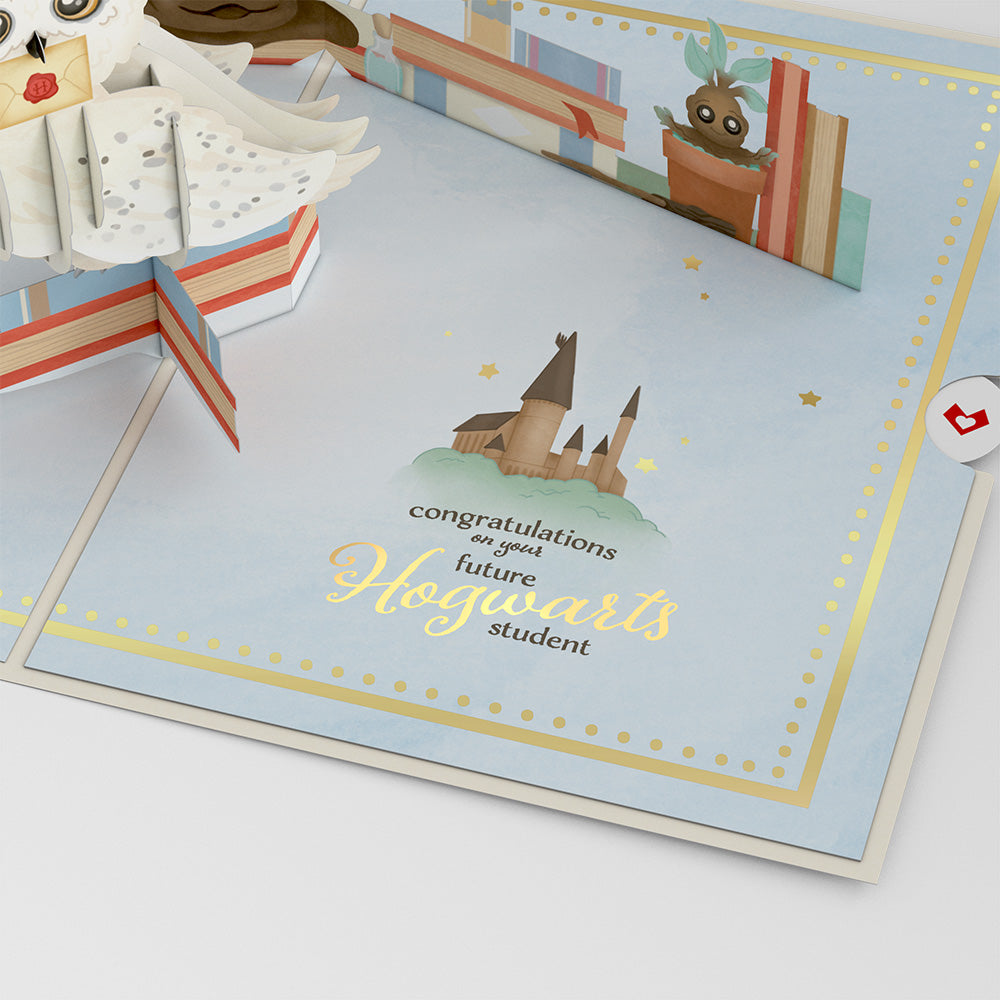 Harry Potter? Special Delivery Baby Pop-Up Card