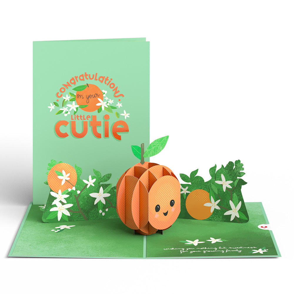 Congratulations On Your Cutie New Baby Pop-Up Card