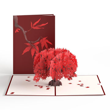 Majestic Japanese Maple Pop-Up Card