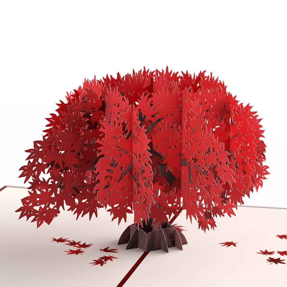Majestic Japanese Maple Pop-Up Card