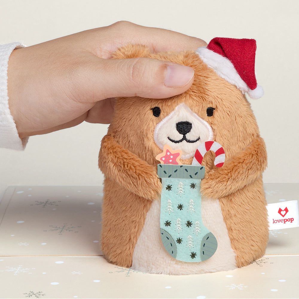 'Merry Christmas' Holiday Bear Plushpop