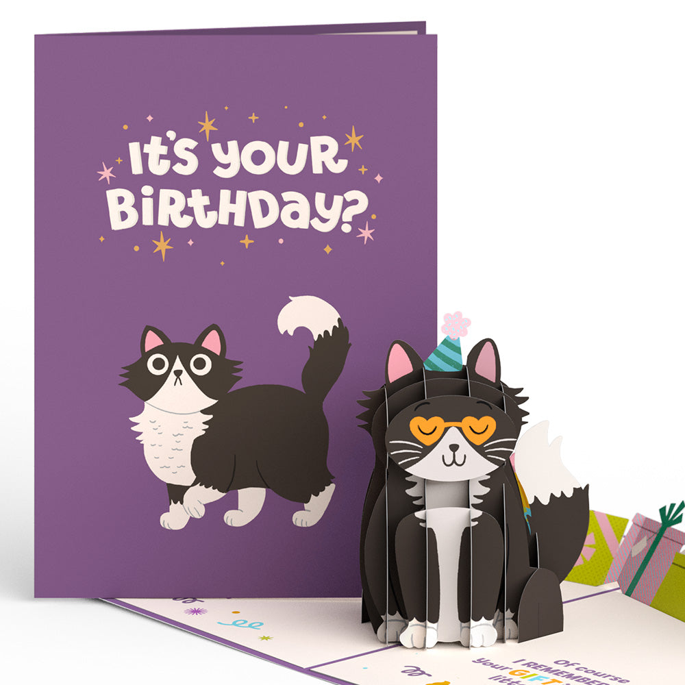 Your Gift Is in the Litterbox Birthday Cat Pop-Up Card