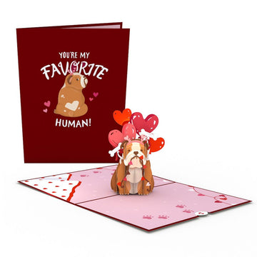 You¡¯re My Favorite Human Pop-Up Card