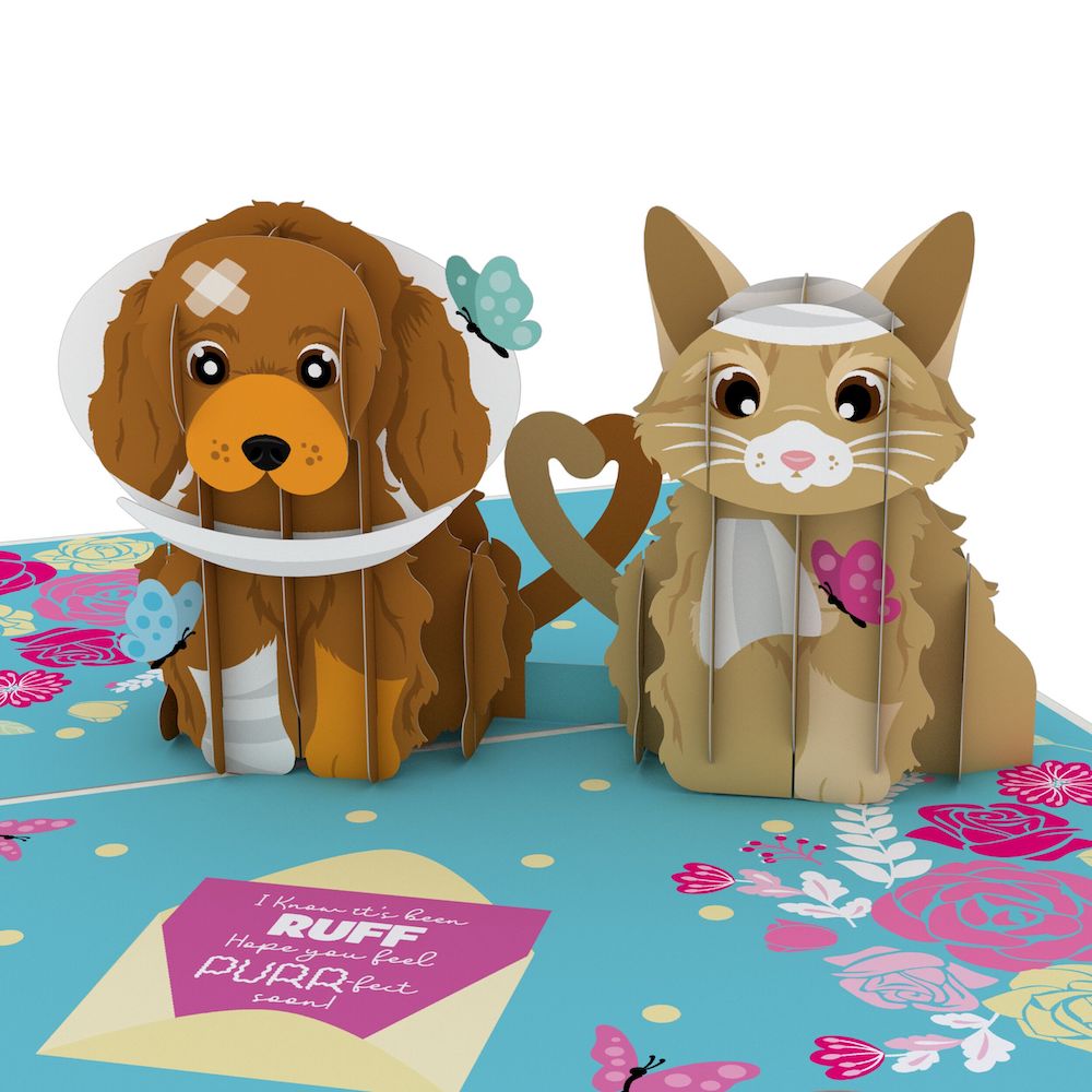 Get Well Soon Pets Pop-Up Card