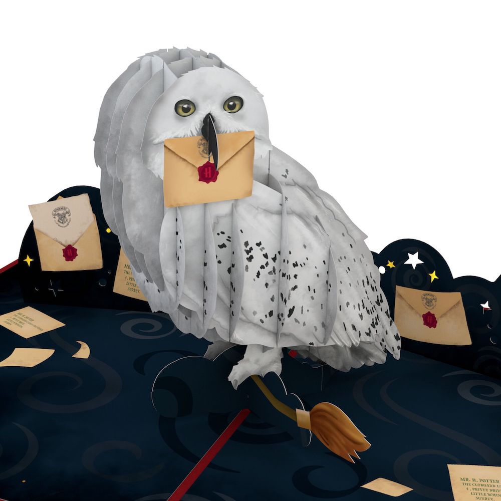 Harry Potter? Hedwig? Birthday Delivery Pop-Up Card