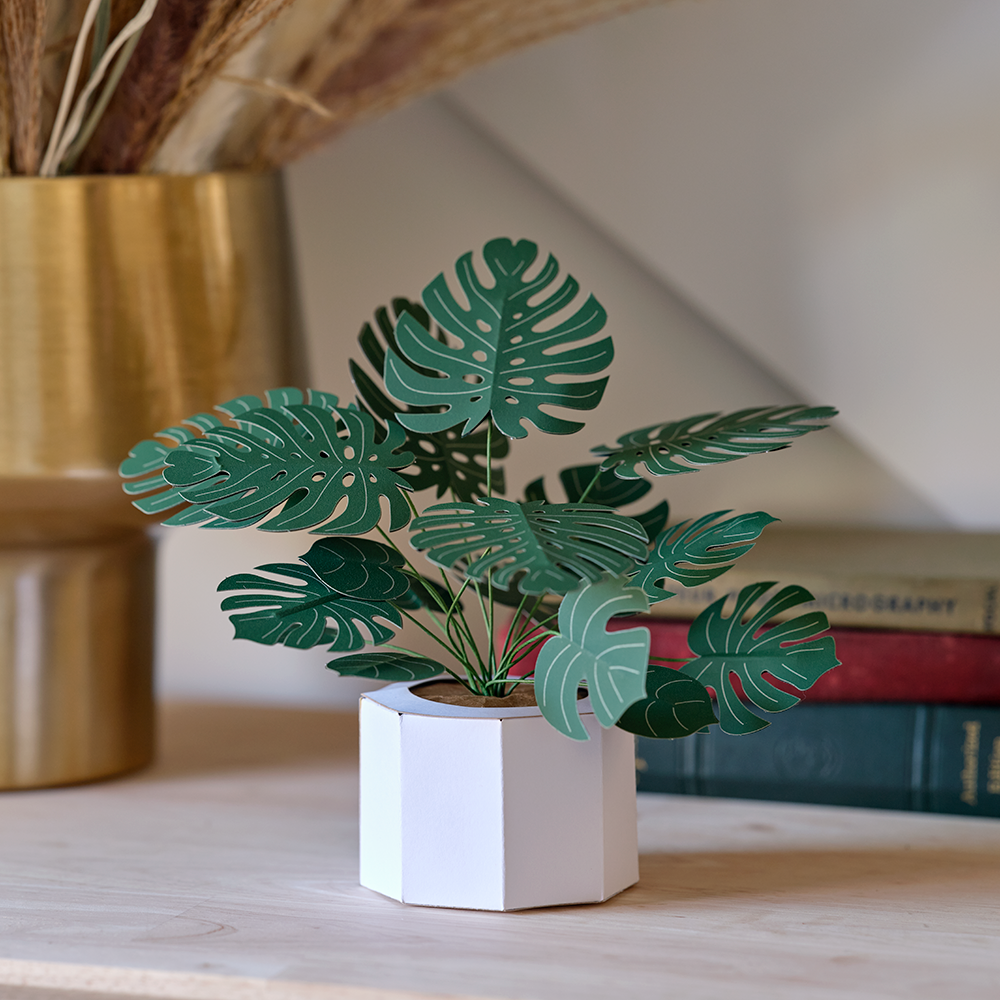 paper monstera plant Paper Monstera Plant DIY Kit