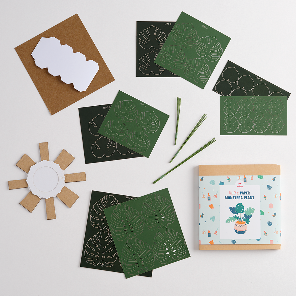 paper monstera plant Paper Monstera Plant DIY Kit