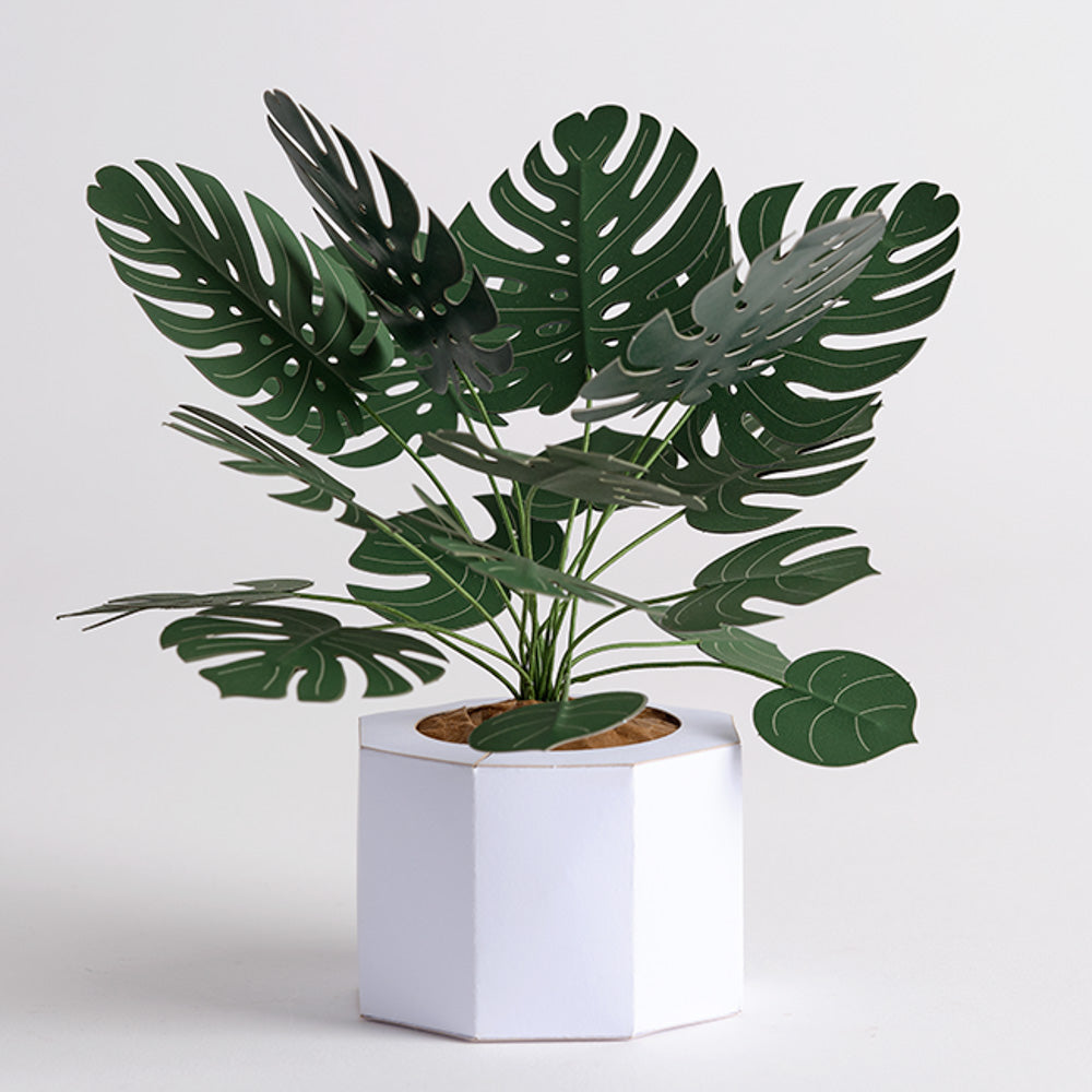 paper monstera plant Paper Monstera Plant DIY Kit
