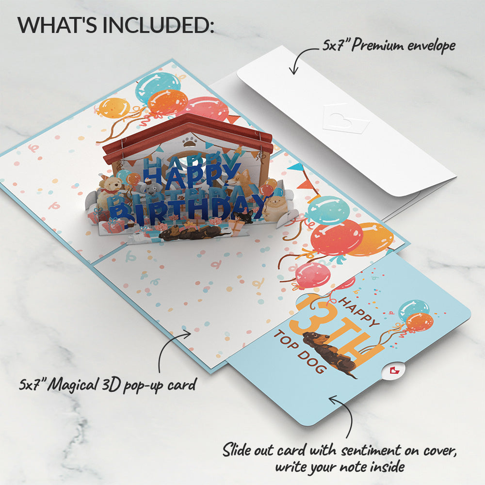 Happy 13th Birthday Dogs Pop-Up Card and Sentiment Set